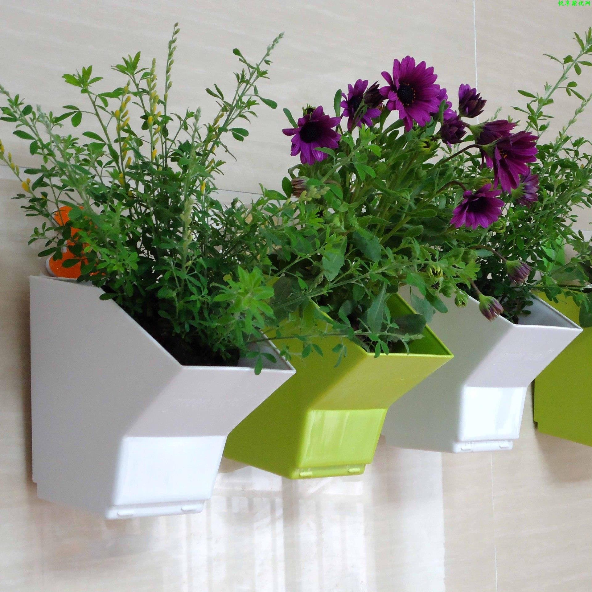 Bonsai Vertical Garden - 2 pcs Wall Hanging Planter Flower