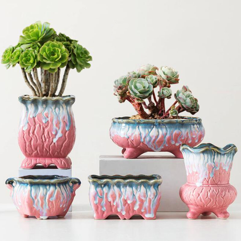 Creative Glazed Flowerpot Succ - đánh giá và giá Bonsai Tree Zen Garden
