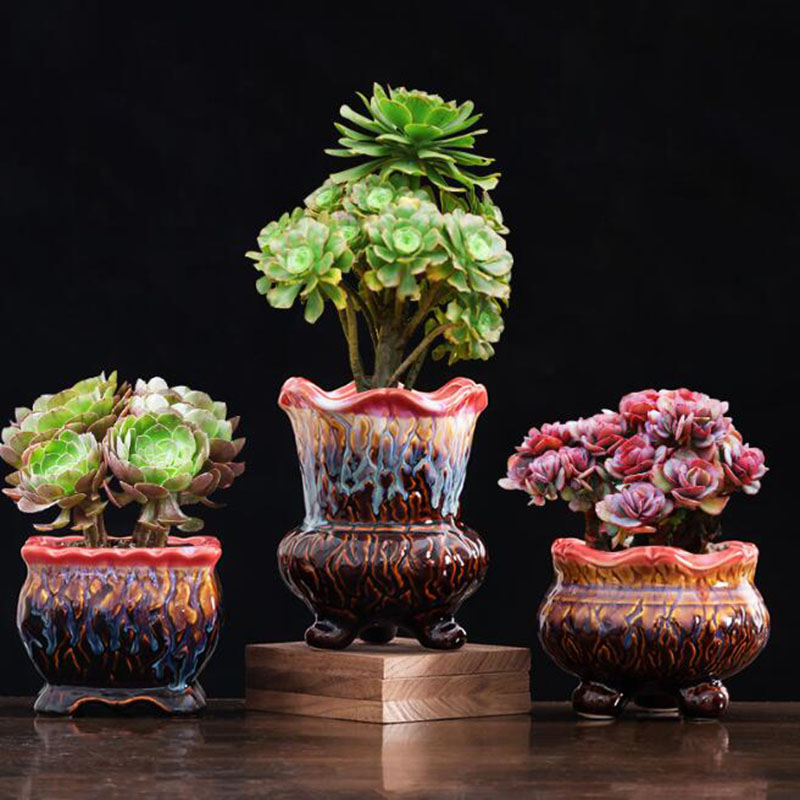 Creative Glazed Flowerpot Succ - đánh giá và giá Bonsai Tree Zen Garden