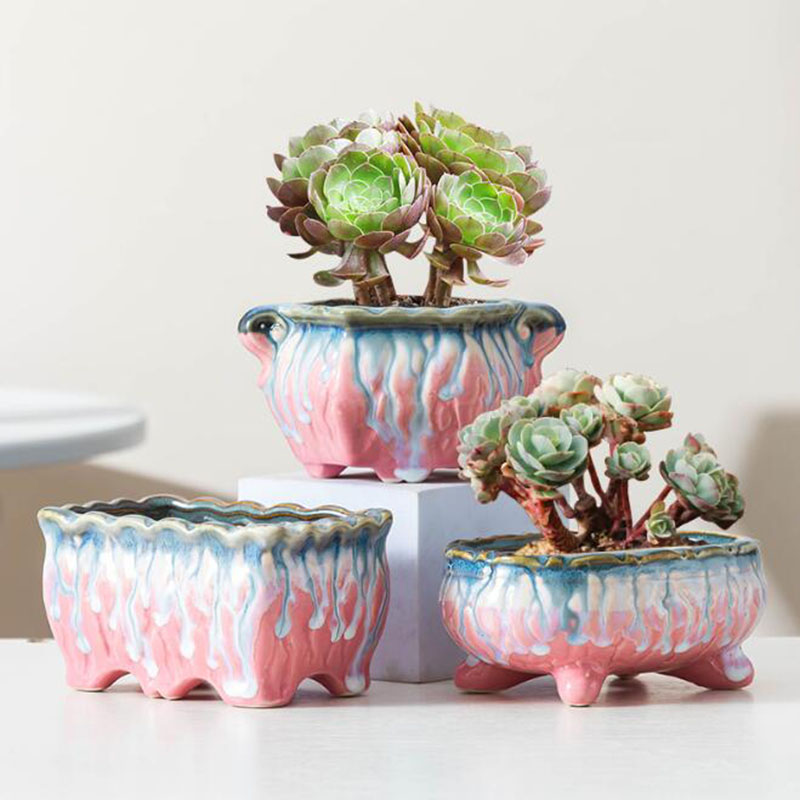 Creative Glazed Flowerpot Succ - đánh giá và giá Bonsai Tree Zen Garden