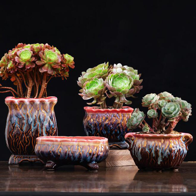 Creative Glazed Flowerpot Succ - đánh giá và giá Bonsai Tree Zen Garden
