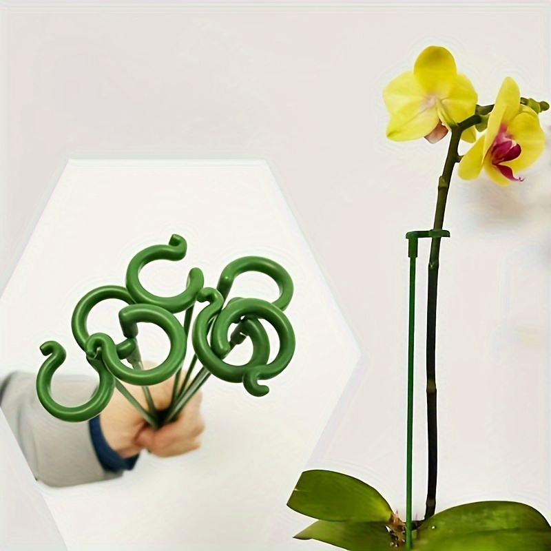 6PCS Green Plastic Plant Suppo - đánh giá và giá Bonsai Garden Stand