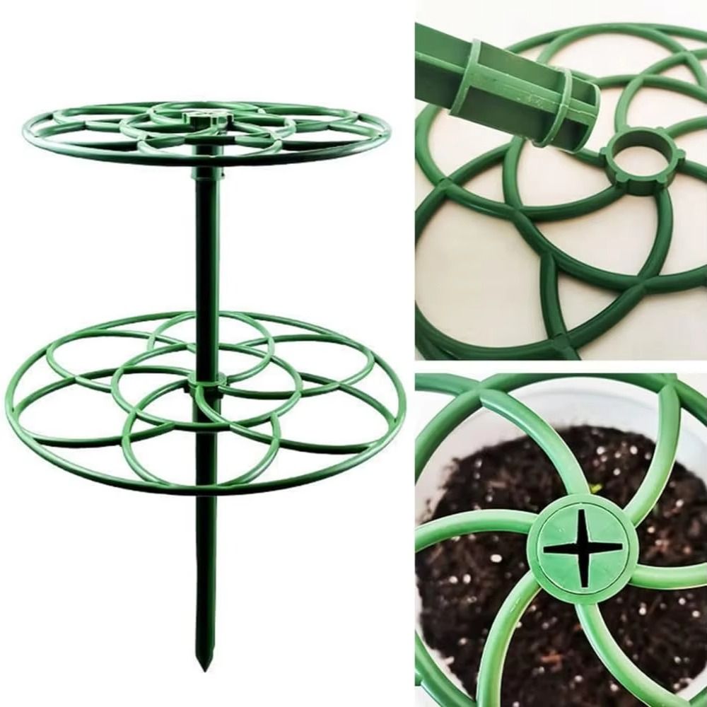 New S/M/L Bonsai Climbing Fram - đánh giá và giá Bonsai Garden Stand