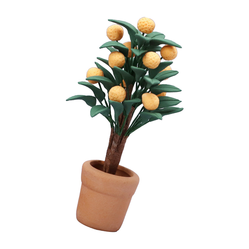 Miniature Kumquat Tree Potted  - đánh giá và giá Bonsai Garden Europe