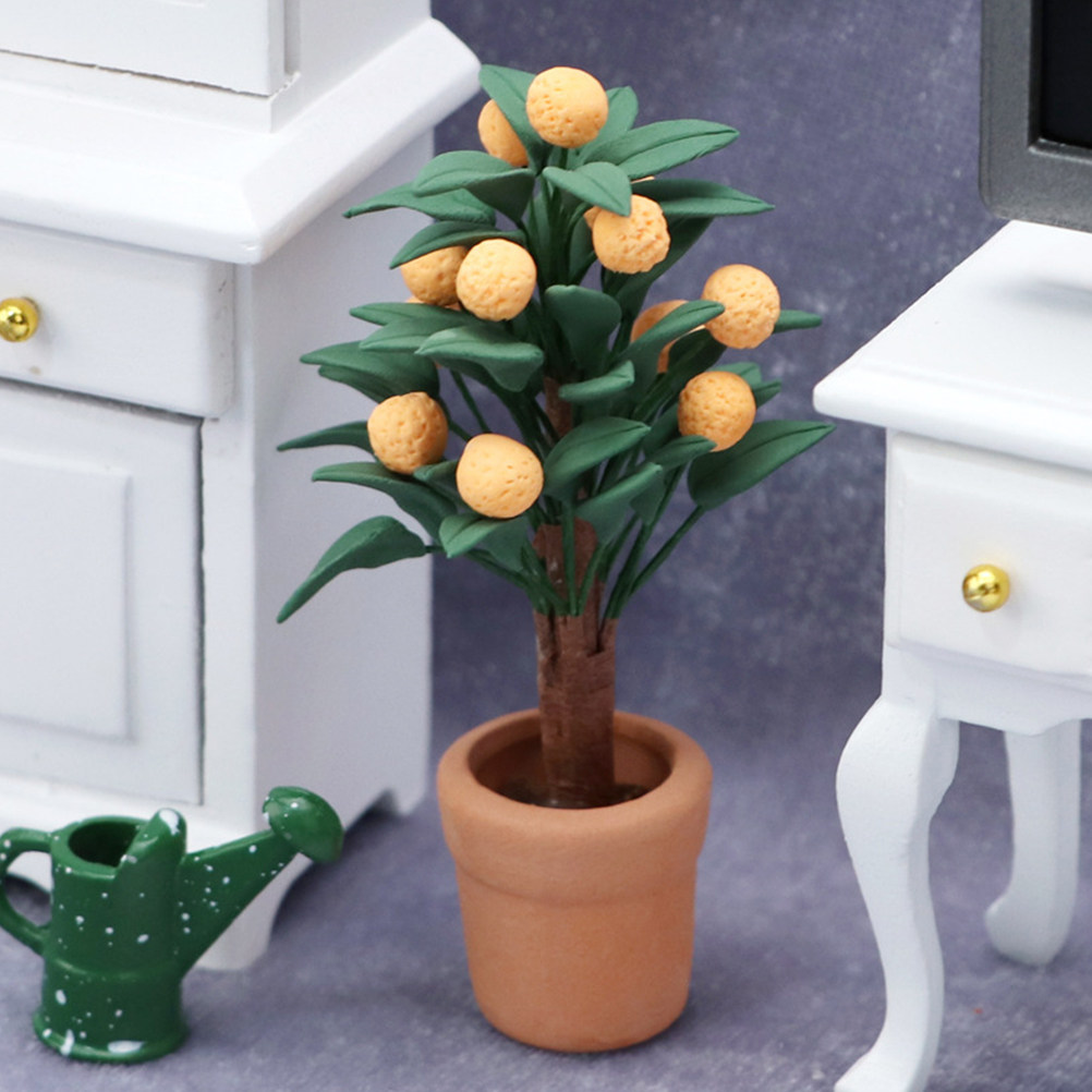 Miniature Kumquat Tree Potted  - đánh giá và giá Bonsai Garden Europe