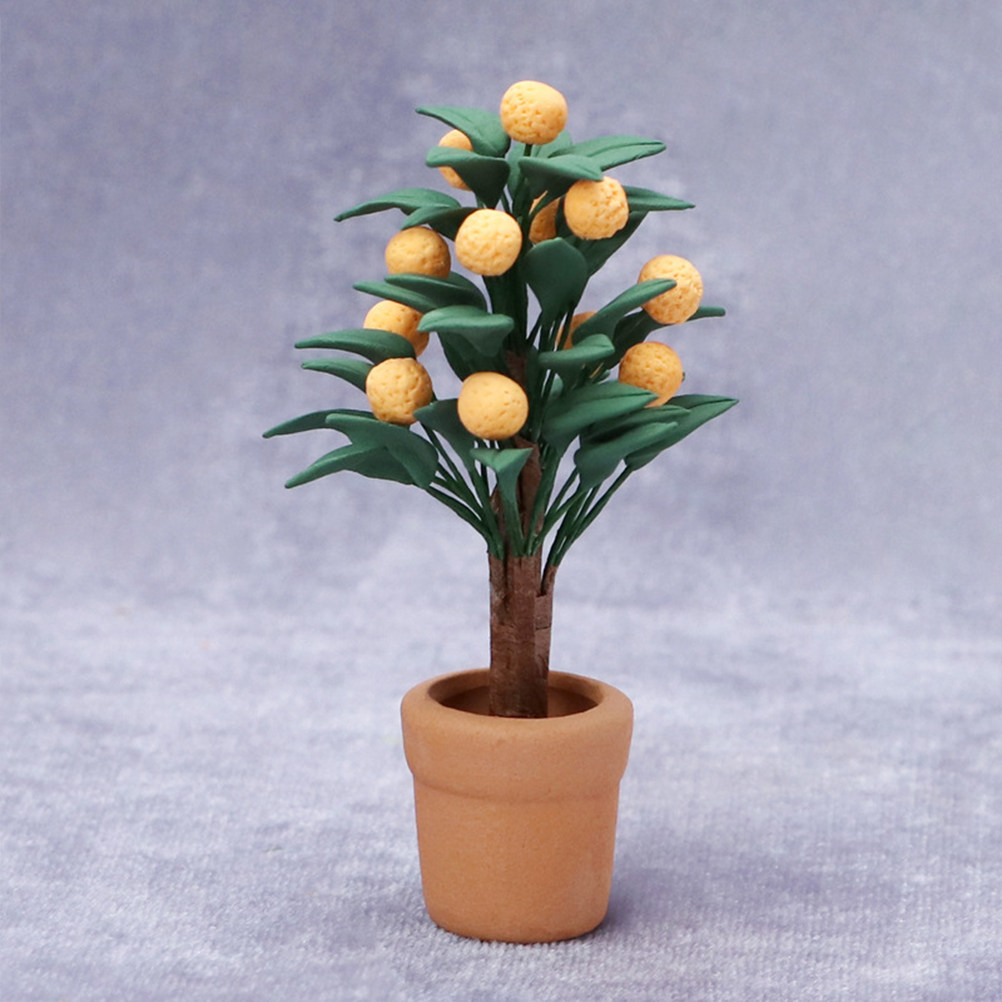 Miniature Kumquat Tree Potted  - đánh giá và giá Bonsai Garden Europe