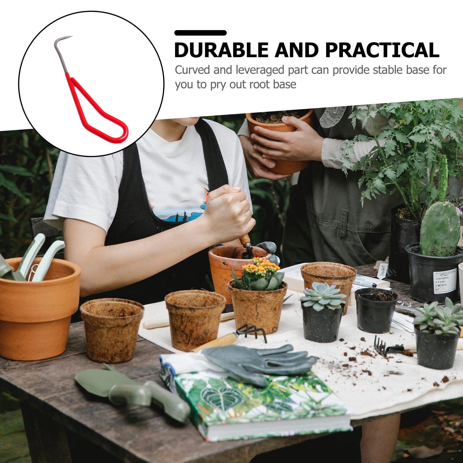 Stainless Steel Manual Weeding - đánh giá và giá Root Hook Tool