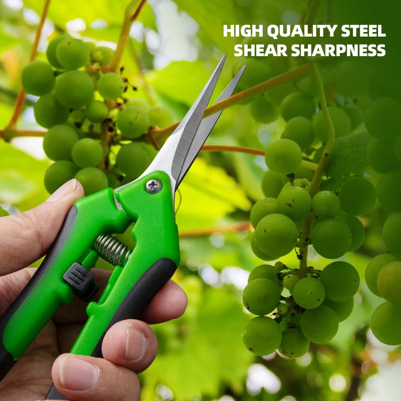 7-Inch Pruner Scissors for Pla - đánh giá và giá Bonsai Garden Timings
