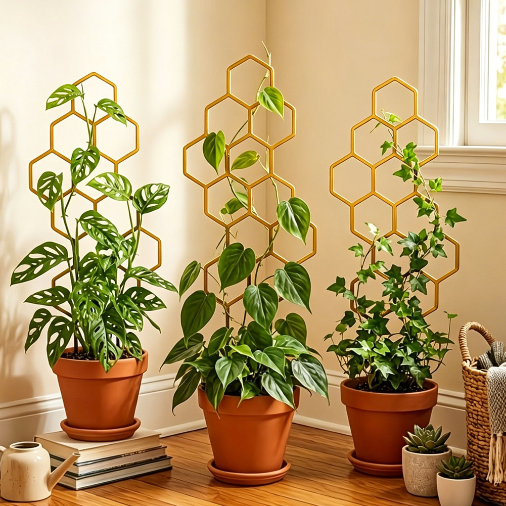 Two-Piece Hexagonal Plant Fram - đánh giá và giá Bonsai Vertical Garden