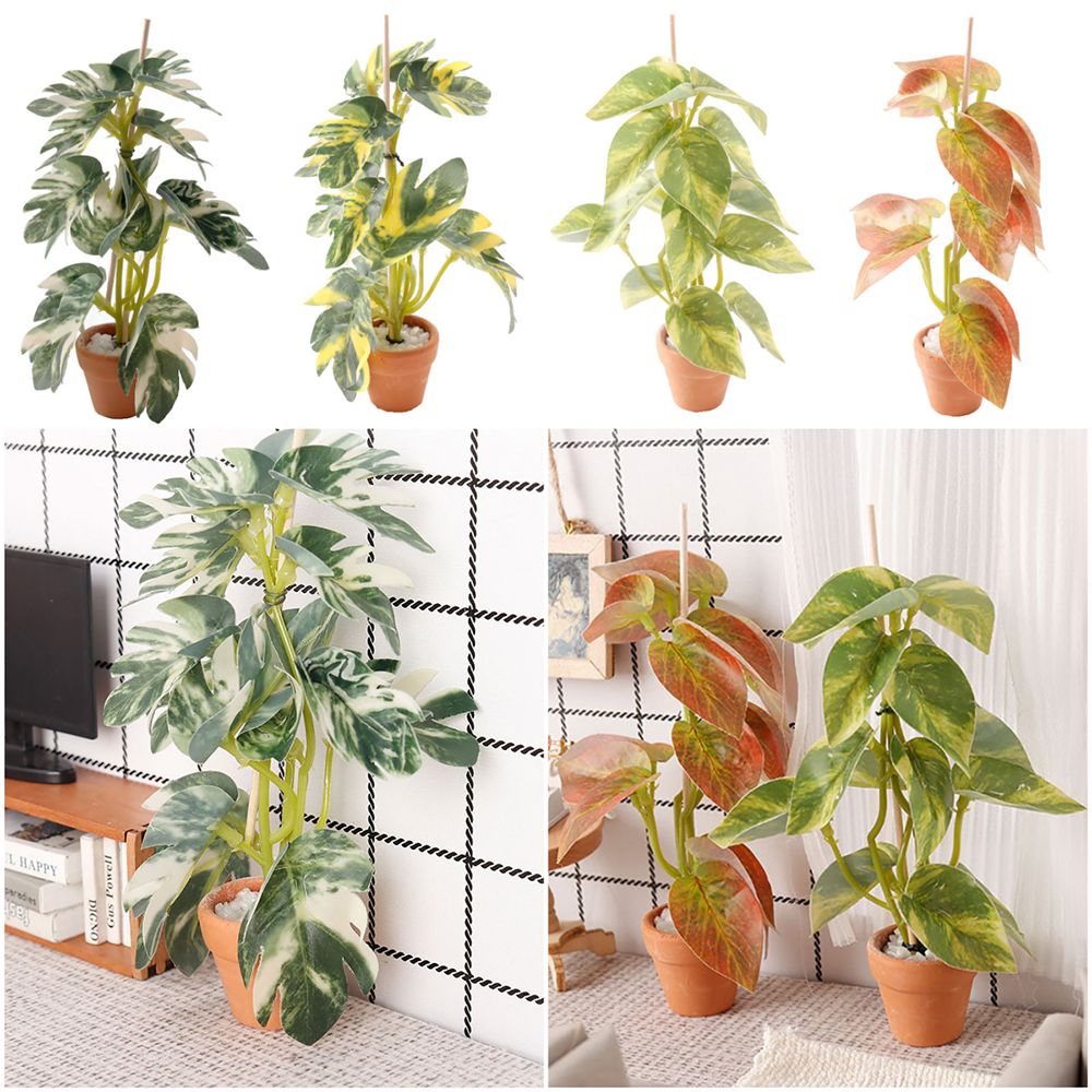 Creative 1:12 Dollhouse Plant  - đánh giá và giá Bonsai Garden Photos