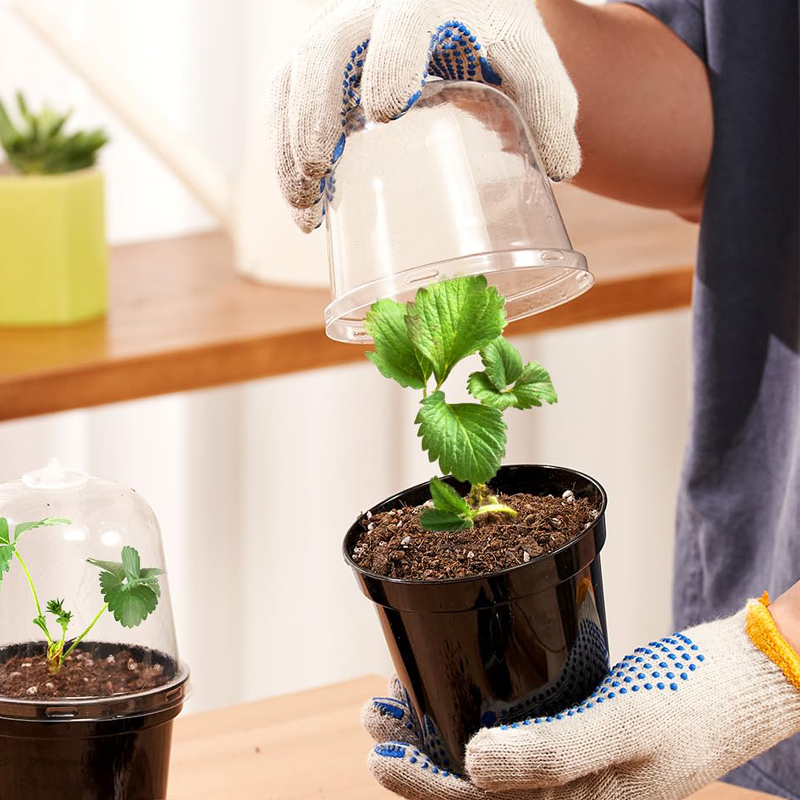 Nursery Pots Flowerpot Gardeni - đánh giá và giá Bonsai Garden Indoor