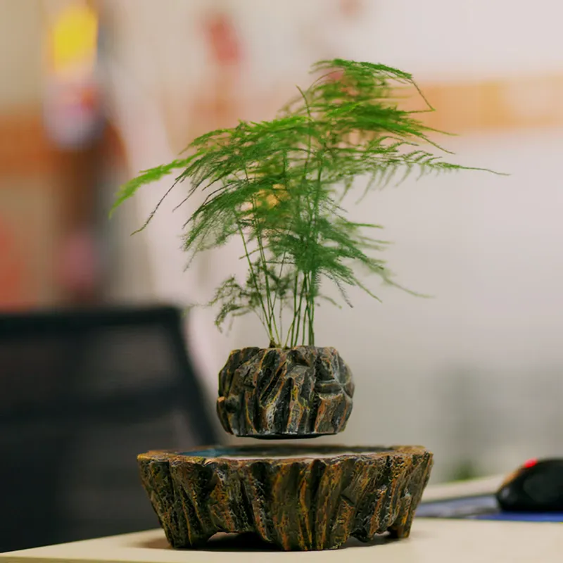 for HCNT Electric Magnetic Lev - đánh giá và giá Bonsai Vertical Garden