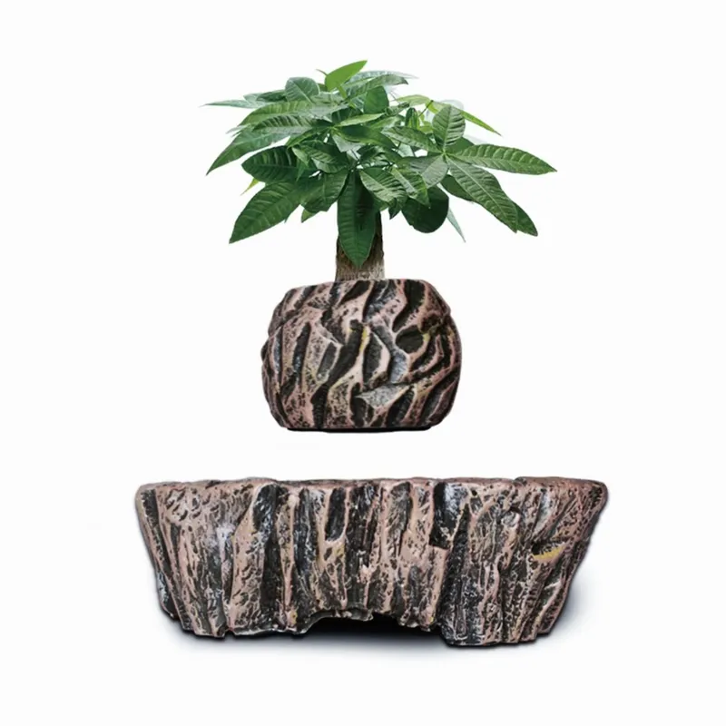 for HCNT Electric Magnetic Lev - đánh giá và giá Bonsai Vertical Garden