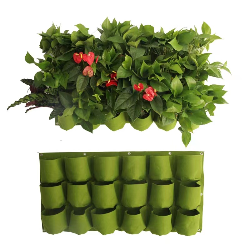 Green Wall Hanging Planting Ba - đánh giá và giá Bonsai Vertical Garden