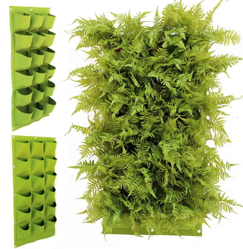 Green Wall Hanging Planting Ba - đánh giá và giá Bonsai Vertical Garden