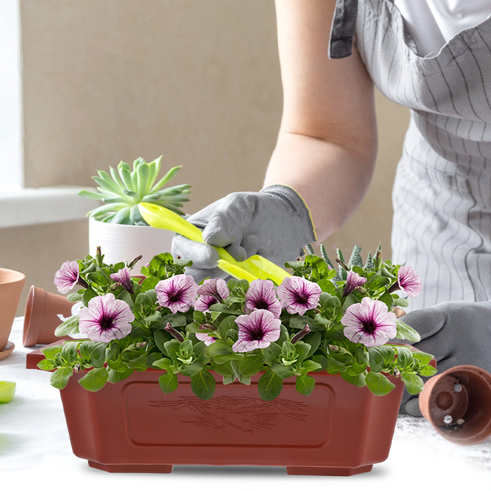 6Pcs Plastic Bonsai Pots with  - đánh giá và giá Bonsai Vertical Garden