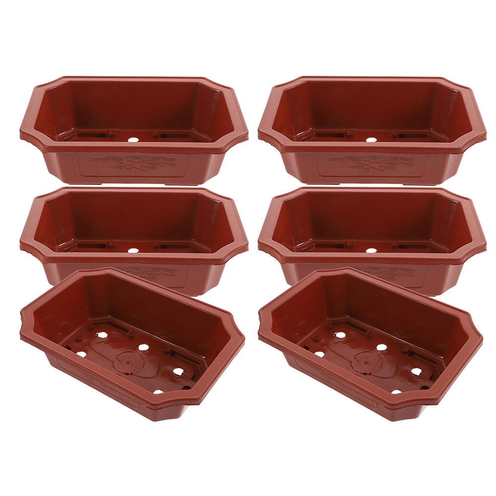 6Pcs Plastic Bonsai Pots with  - đánh giá và giá Bonsai Vertical Garden