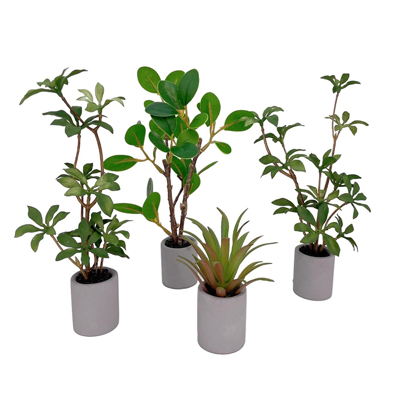 1:6 Dollhouse Miniature Potted - đánh giá và giá Bonsai Garden Europe