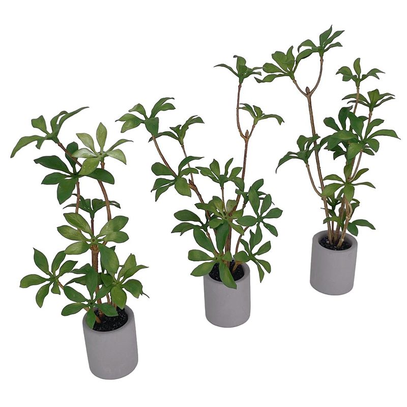 1:6 Dollhouse Miniature Potted - đánh giá và giá Bonsai Garden Europe