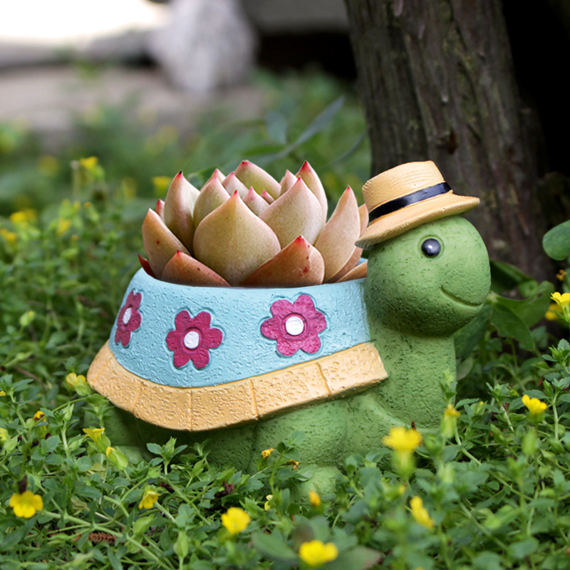 Cartoon Turtle Succulent Flowe - đánh giá và giá Bonsai Tree Zen Garden