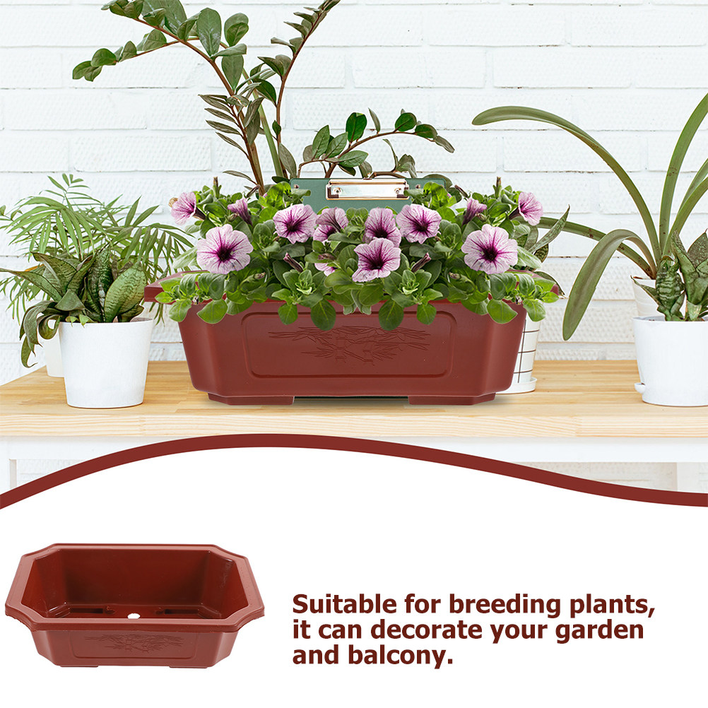 6Pcs Plastic Bonsai Pots with  - đánh giá và giá Bonsai Vertical Garden