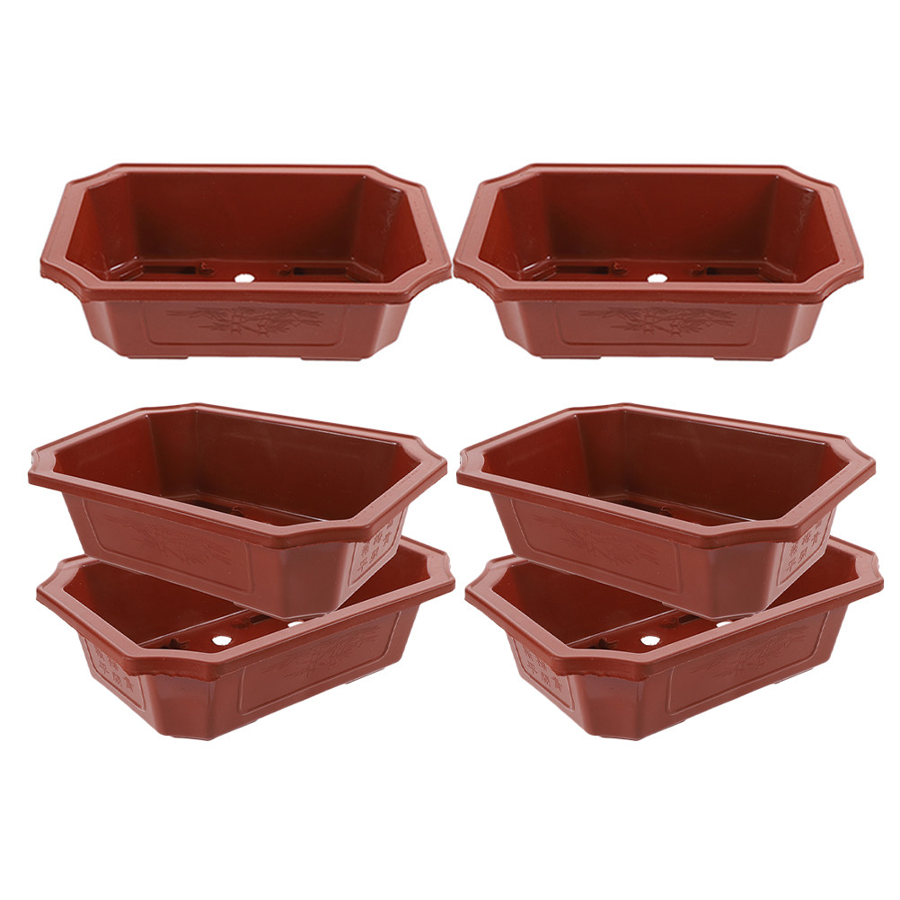 6Pcs Plastic Bonsai Pots with  - đánh giá và giá Bonsai Vertical Garden
