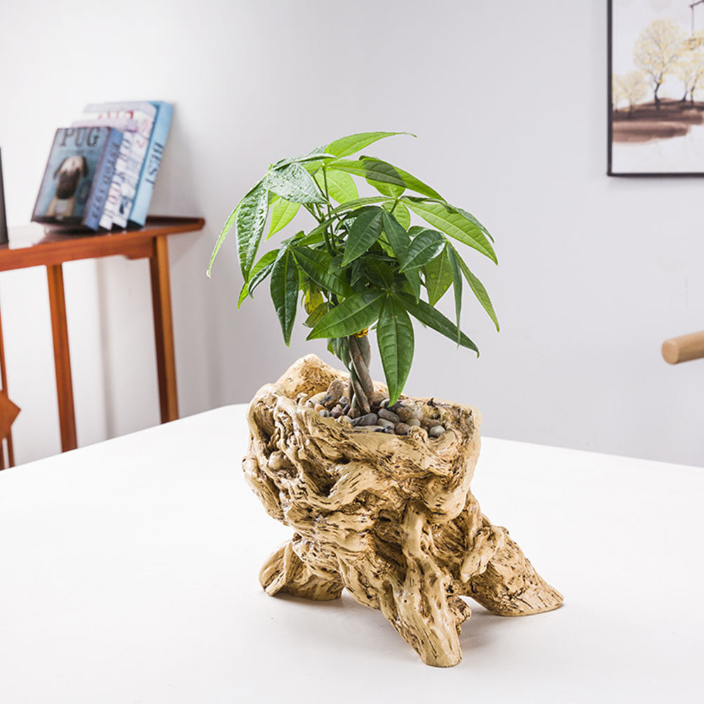 Tree Root Shaped Flower Pot De - đánh giá và giá Bonsai Garden Display