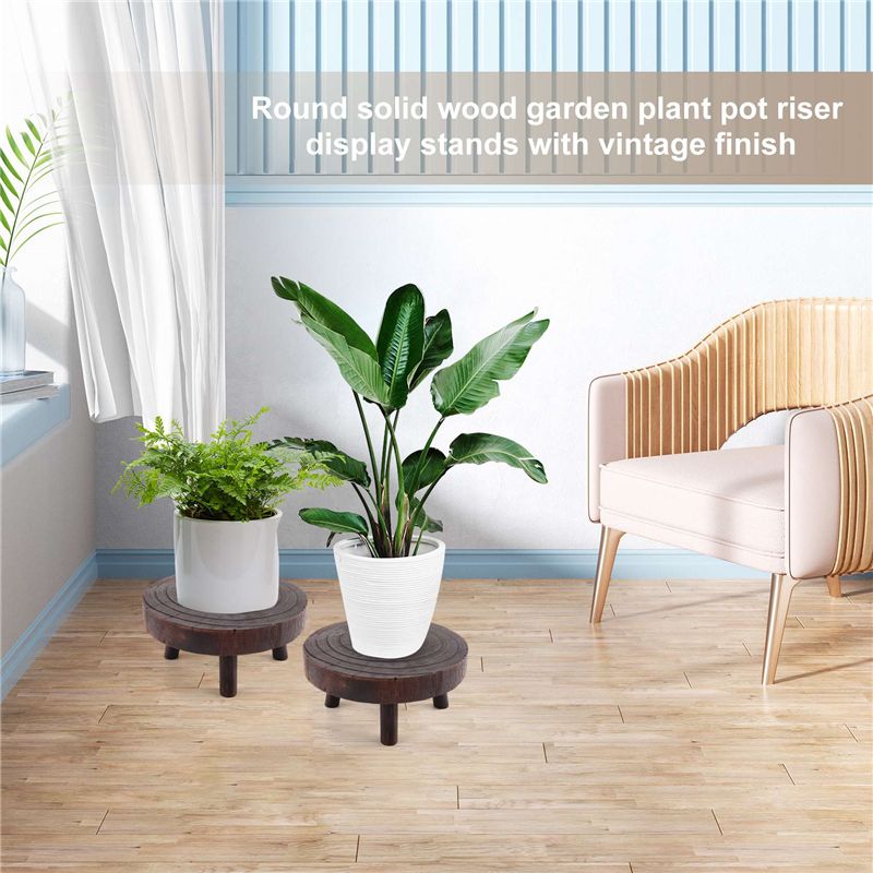 ABHU 2Pcs Mini Wooden Stool Fl - đánh giá và giá Bonsai Garden Stand