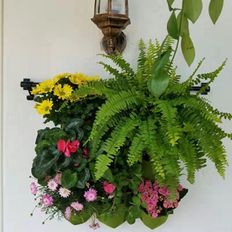 Wall Hanging Planting Bag Mult - đánh giá và giá Bonsai Vertical Garden