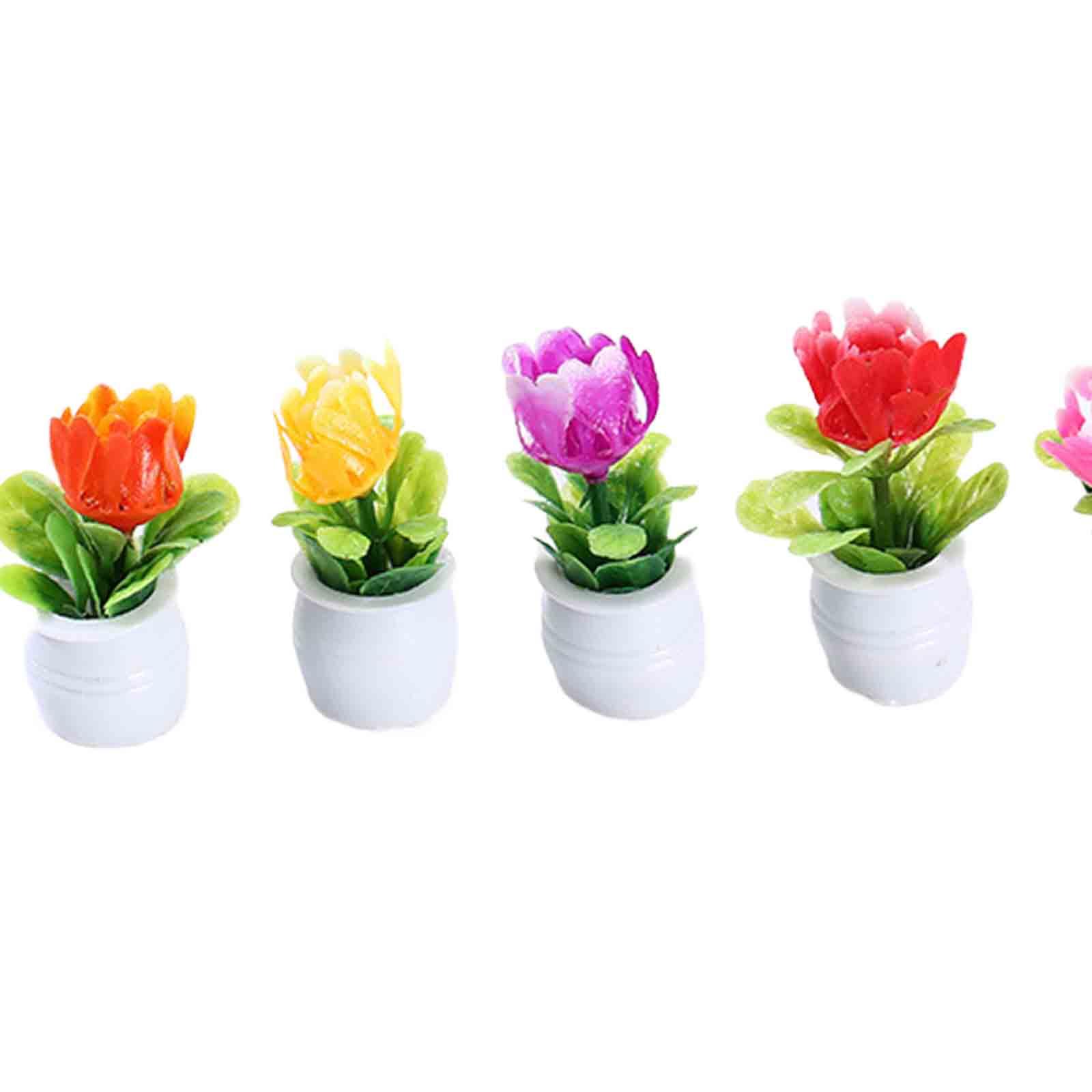5Pcs 1:12 Dollhouse Miniature  - đánh giá và giá Bonsai Garden Europe