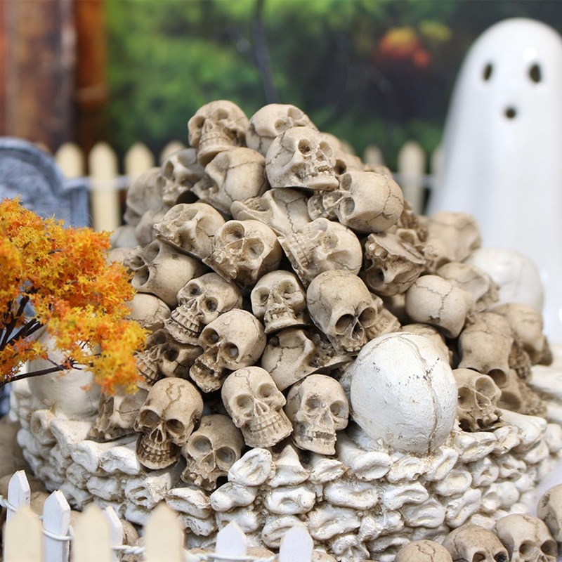 Realistic Resin Skull Figurine - đánh giá và giá Bonsai Garden Display