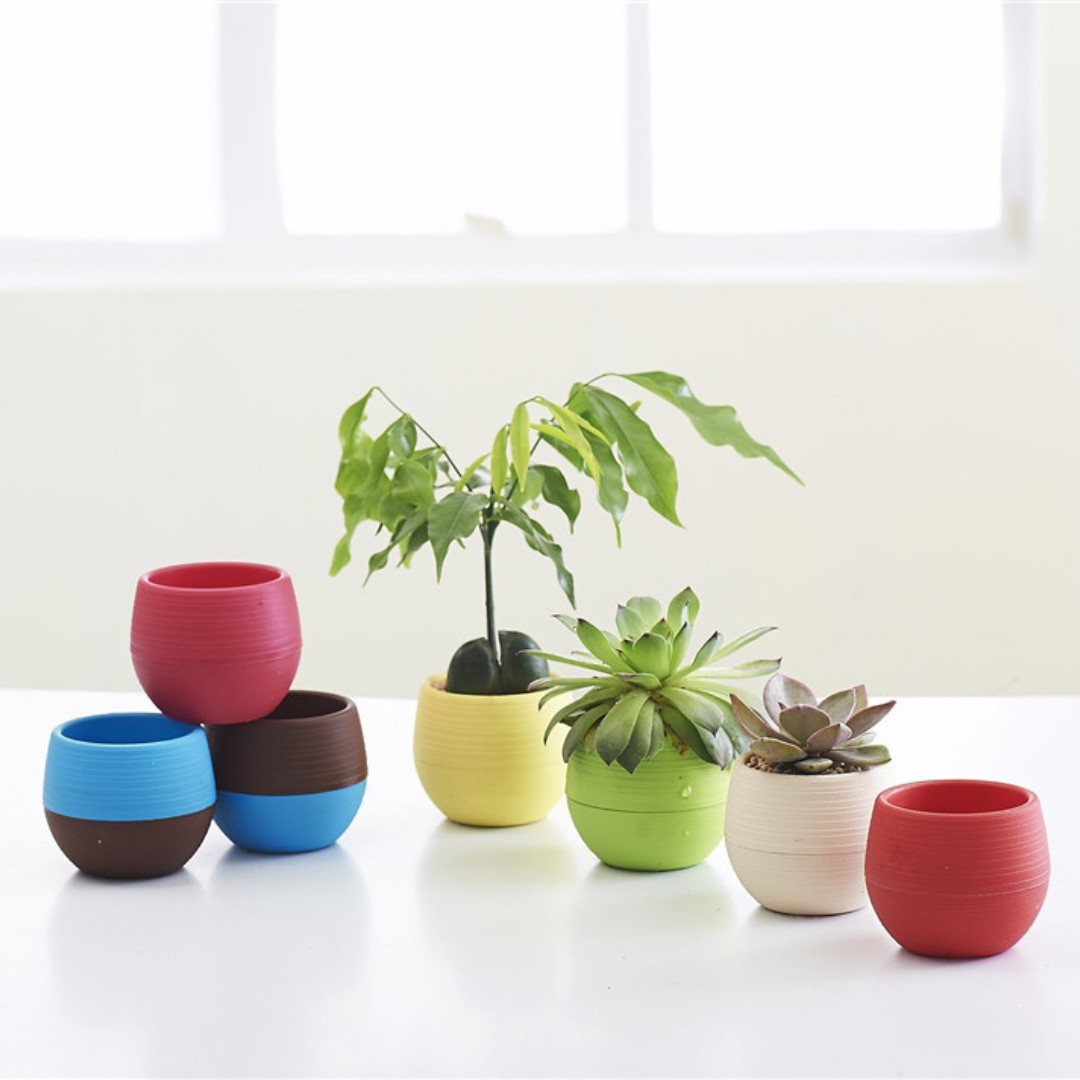 Gardening Mini Plastic Flower  - đánh giá và giá Bonsai Garden Europe
