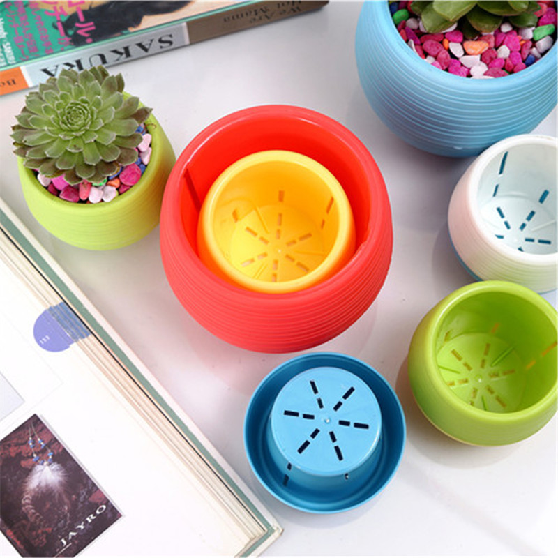 Gardening Mini Plastic Flower  - đánh giá và giá Bonsai Garden Europe
