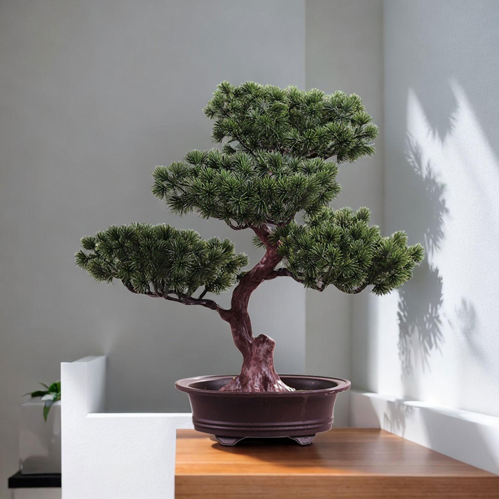Artificial Bonsai Fake Tree Po - đánh giá và giá Bonsai Tree Zen Garden