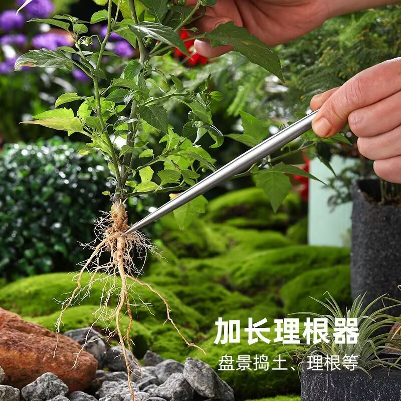 Solid Stainless Steel Root Hoo - đánh giá và giá Root Hook Tool