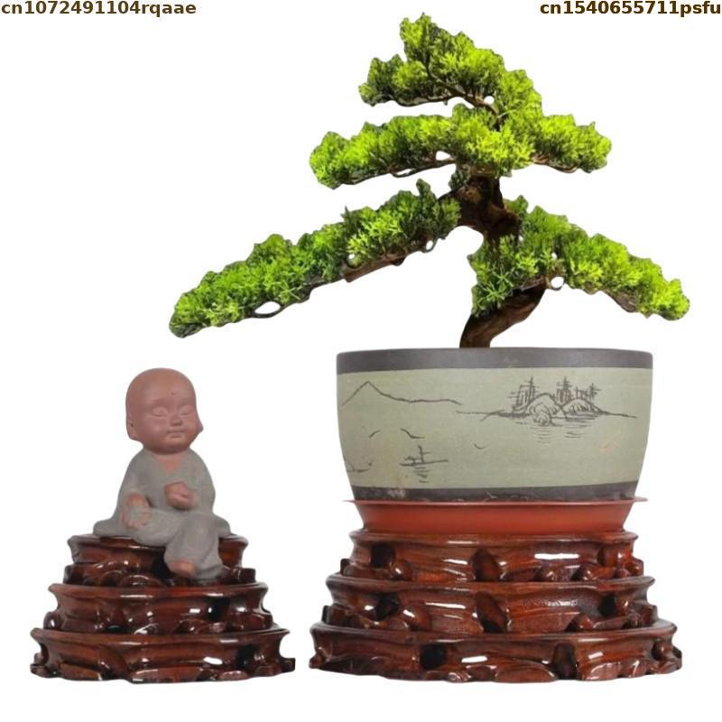 6-30cm Diameter Standing Flowe - đánh giá và giá Bonsai Garden Display