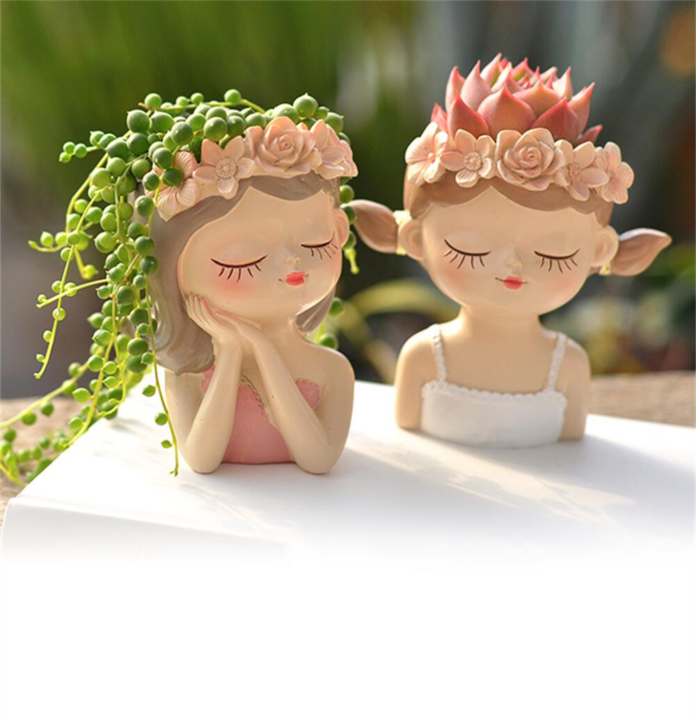 Fairy Succulent Flowerpot Desk - đánh giá và giá Bonsai Tree Zen Garden