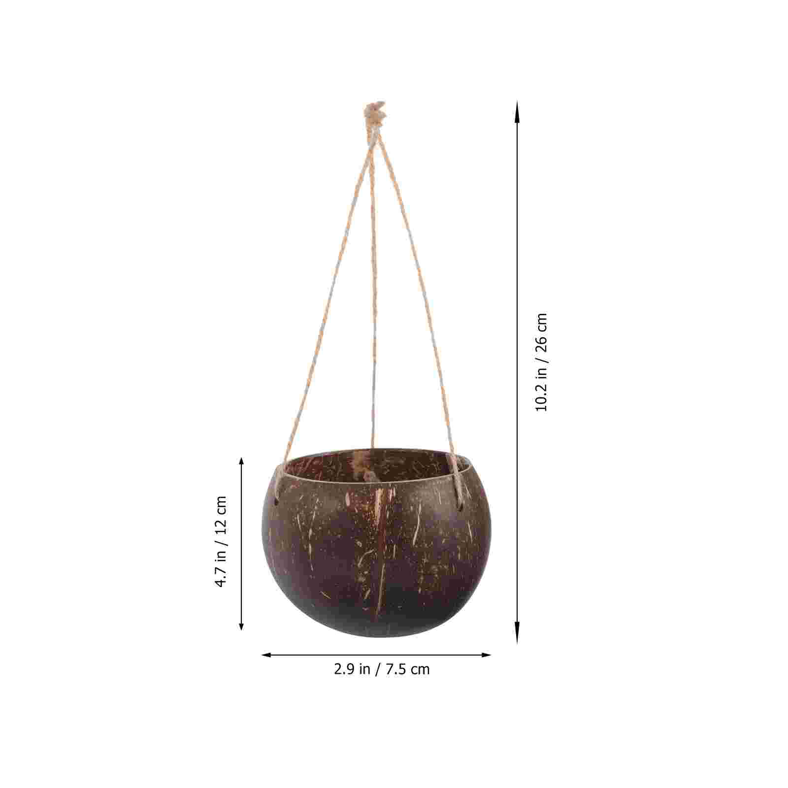 Large Hanging Planter Coconut  - đánh giá và giá Bonsai Tree Zen Garden