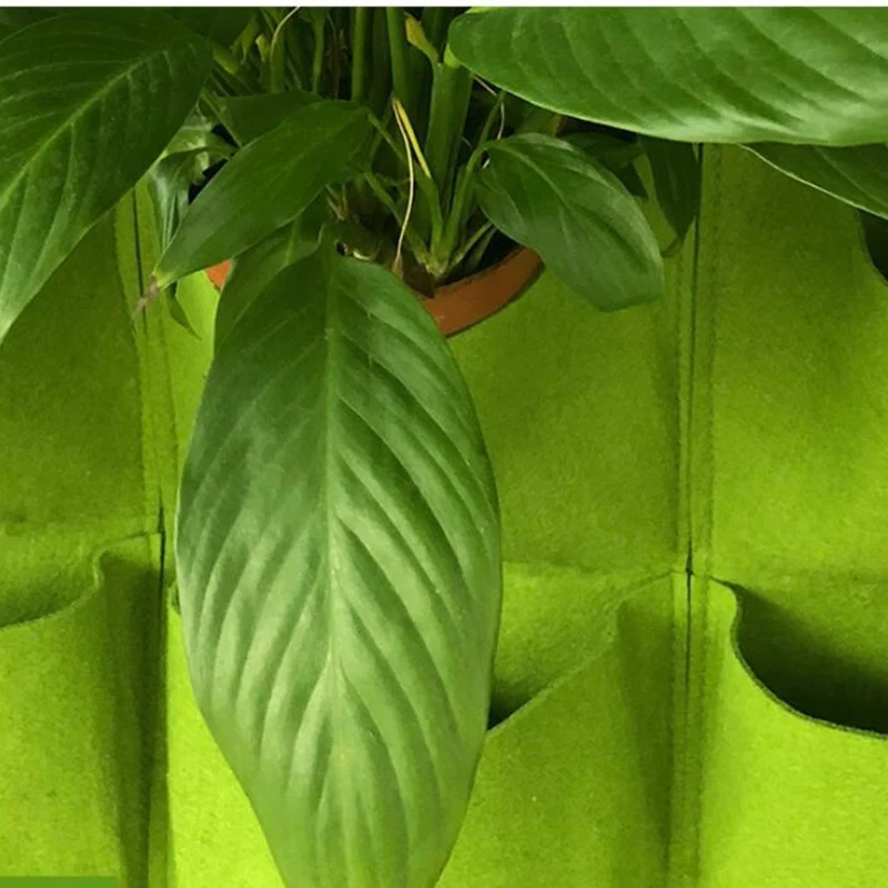 Wall Hanging Planting Bag Mult - đánh giá và giá Bonsai Vertical Garden