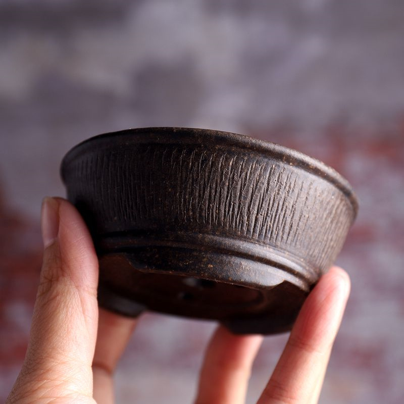 Ceramic Circle Bowl Bonsai Pot - đánh giá và giá Bonsai Vertical Garden