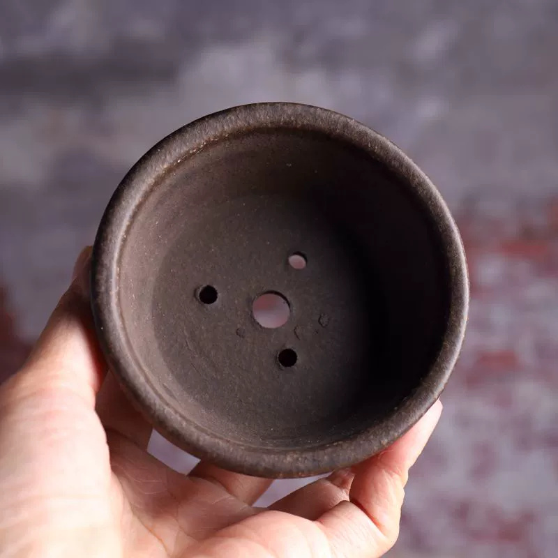 Ceramic Circle Bowl Bonsai Pot - đánh giá và giá Bonsai Vertical Garden